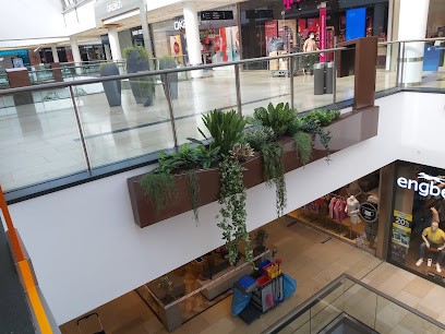 Pflanzenart Andreas Beckmann E.K., Blumenladen in Marl