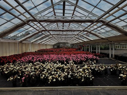 Käte Gentz, Blumenladen in Werder