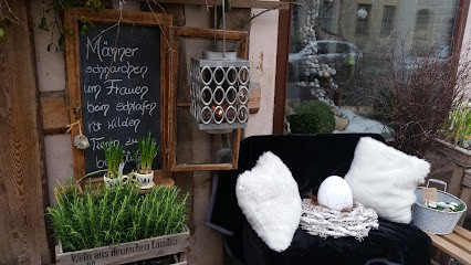 Hollerblüte, Blumenladen in Torgau