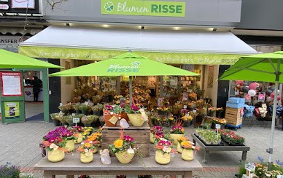 Blumen Risse Blumenladen Gelsenkirchen-Innenstadt, Blumenladen in Gelsenkirchen