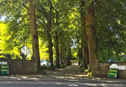 Blumen Bernfried Föllinger, Blumenladen in Herdecke