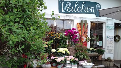 Veilchen Floristik Atelier Blumen, Blumenladen in Oberursel