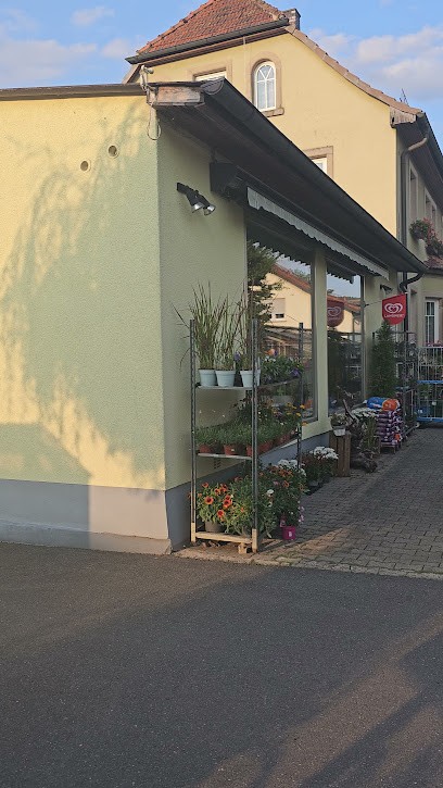 Brigitte Porzelt, Blumenladen in Redwitz an der Rodach