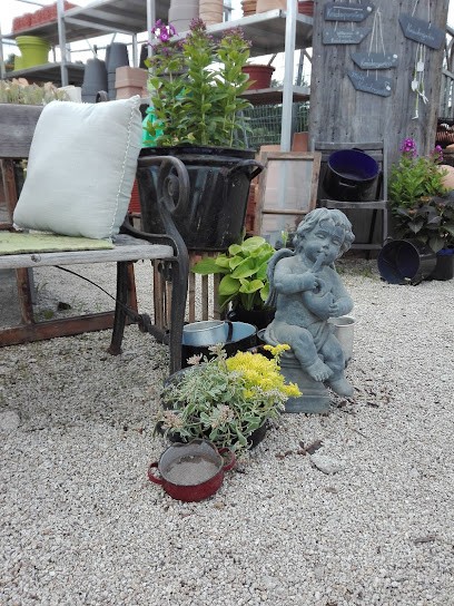 Blumenparadies und Biologischer Gartenbau Becher, Blumenladen in Ebnath