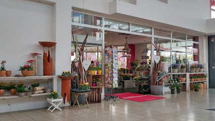 Flora Total, Blumenladen in Neubrandenburg