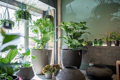 VON BLUMEN, Blumenladen in Freiburg im Breisgau