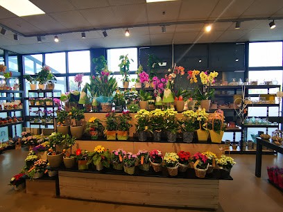 florizz - Blumen, Blumenladen in Mittweida