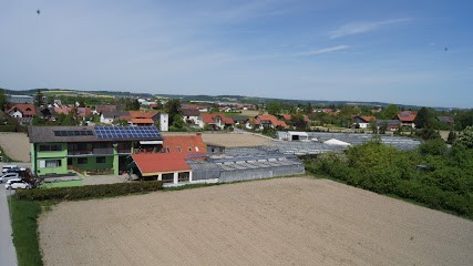 Blumen Rauscher, Blumenladen in Niederaichbach