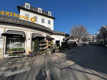 Le Fleur Das Blumencafe, Blumenladen in Starnberg