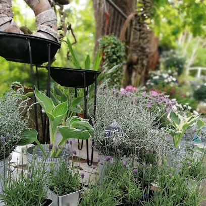 Christas Blumenladen, Blumenladen in Bredstedt