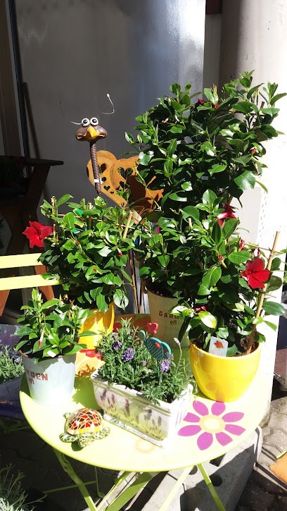 Connys Ideenwelt, Blumenladen in Teuschnitz