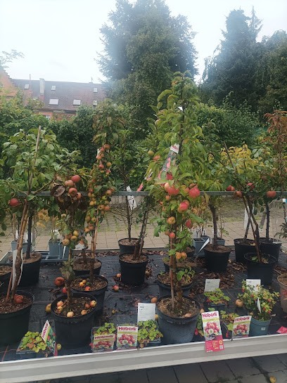 Wörner Pflanzenparadies, Blumenladen in Augsburg