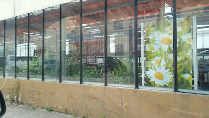 Blumen Assenheimer, Blumenladen in Asperg