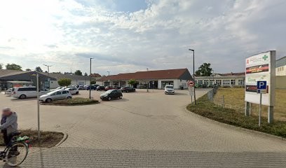 Blumengeschäft Geier Inh. Wolfgang Geier, Blumenladen in Königsbrück