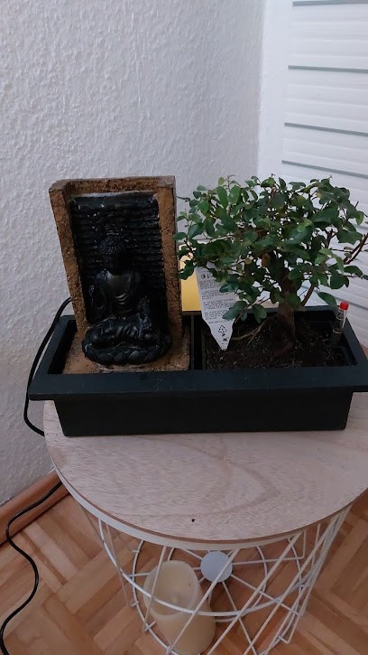 Floree Blumenladen, Blumenladen in Köln