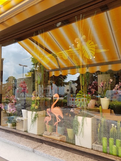 Blumenhaus Geider, Blumenladen in Oftersheim