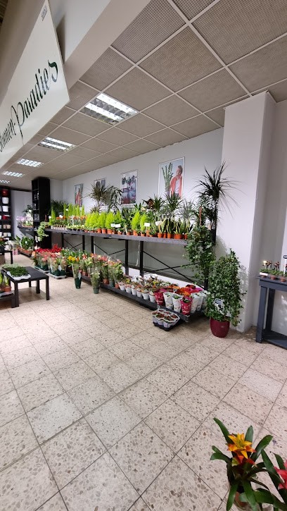 Holzner Blumen-Paradies, Blumenladen in Straubing