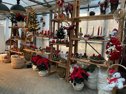 Pits Floristik-Center GmbH Erlau, Blumenladen in Schleusingen