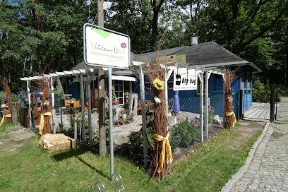 Blüten-Stiel Floristik Fachgeschäft, Blumenladen in Schönwalde-Glien