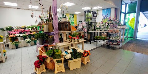 'Blumen Schlitter' Im E Center Schroff, Blumenladen in Kleve