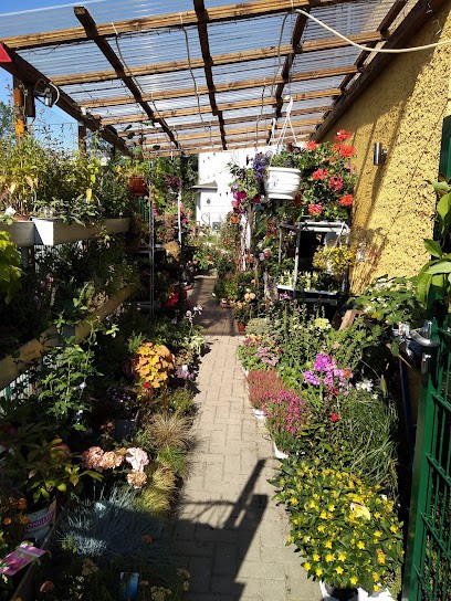 Gabriele Liebich Blumenparadies Susicky, Blumenladen in Neustadt in Sachsen