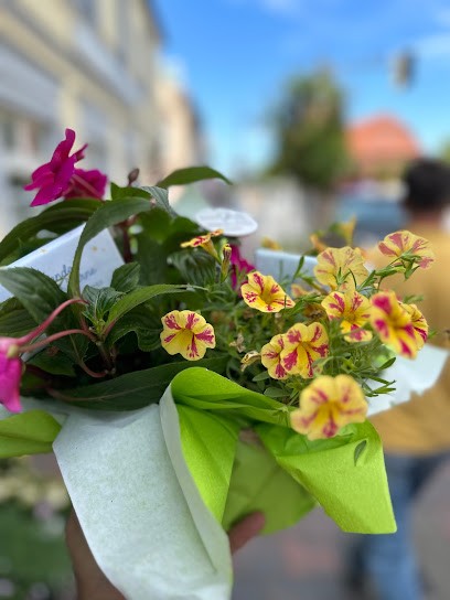 Blumenhof Lewerenz, Blumenladen in Ribnitz-Damgarten