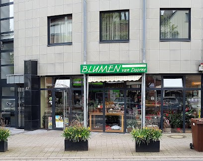 Blumen Van Doorne, Blumenladen in Pulheim