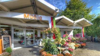 Gärtnerei Müßig Inh.Stefan Lechner, Blumenladen in Murnau am Staffelsee
