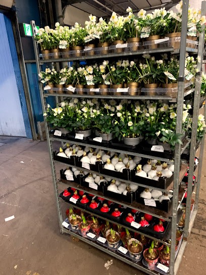 Robert Kresser Blumen-Import E.K., Blumenladen in Priesendorf