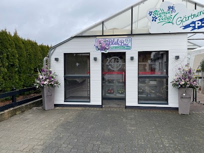 Blumen Weiß, Blumenladen in Allendorf