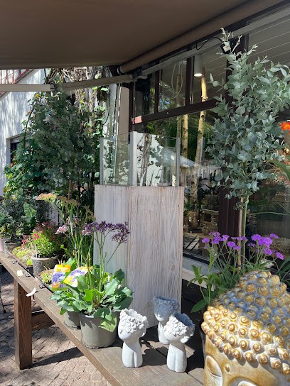 ALRAUNE - Verzaubert Mit Blumen, Blumenladen in Schwabach