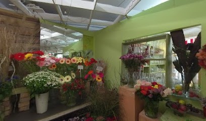 Ulis Blumen, Blumenladen in Singen