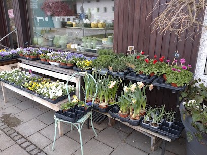 Oxalis - Blumen Kunst, Blumenladen in Hohenbrunn