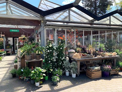 Grützner Blumenkunst, Blumenladen in Düsseldorf