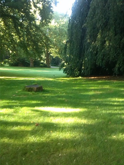 Team Waheed Blumengeschäft, Blumenladen in Gelsenkirchen
