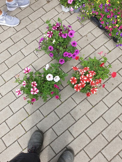 Blumen Schwarzkopf Menden, Blumenladen in Menden