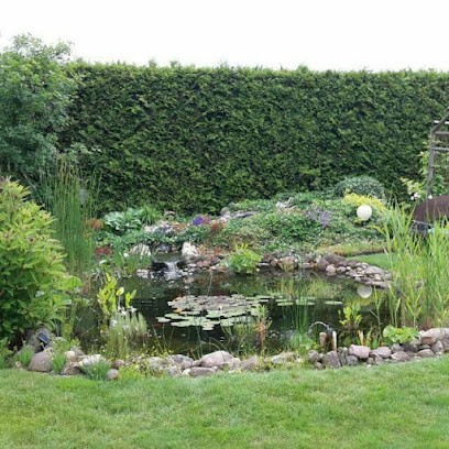 Blumen Borchert, Blumenladen in Brome