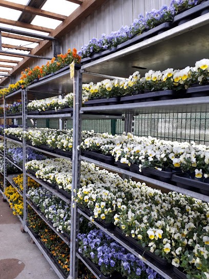 Frey Blumenparadies, Blumenladen in Tönning