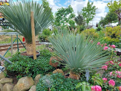 Gärtnerei Roberg, Blumenladen in Lohne