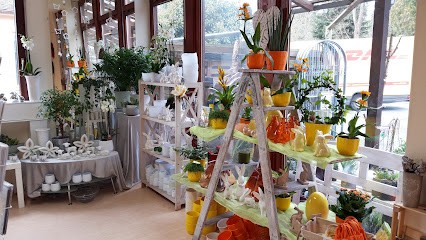 Blumenzauber Marburg, Blumenladen in Marburg