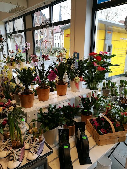 Blumen Ambiente, Blumenladen in Kahla