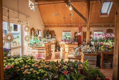 Blütenzauber - Floristik Mit Stil, Blumenladen in Moormerland