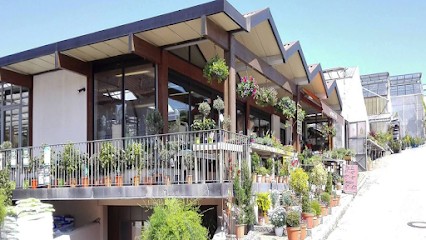 Gärtnerei und Blumenladen Bichl, Blumenladen in Altomünster