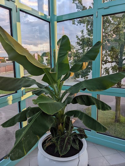 Blumenhof Blank, Blumenladen in Neusäß