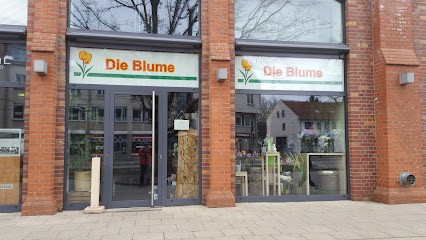 Die Blume, Blumenladen in Hannover