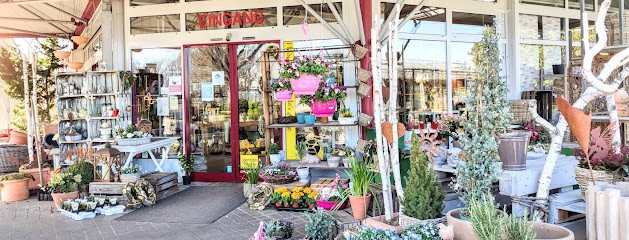 Blumen Noll, Blumenladen in Trebur