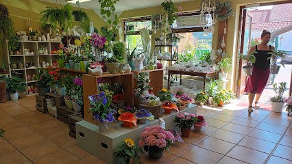 Blumen Meinhardt, Blumenladen in Hettstedt