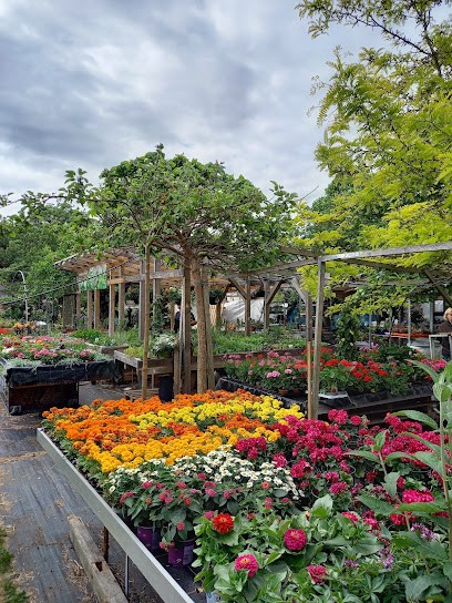 Blumen - Eck, Blumenladen in Lindow