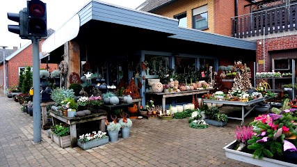 Blumen Van der Veen Sandra Lefers Floristik, Blumenladen in Neuenhaus