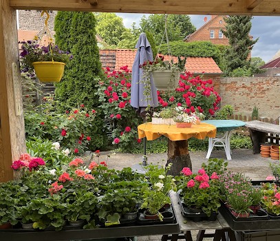 Blumenstube Inh. Petra Baier, Blumenladen in Ziesar